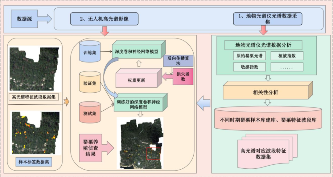 无人机遥感监测_无人机遥感_无人机遥感技术