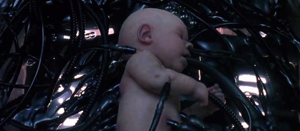 The Matrix