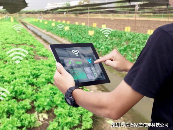监控农业是马头人_农业监控_农业实时监控