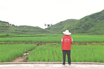 智慧农业_农业监控_数字养殖