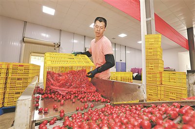 数字养殖_农业监控_智慧农业