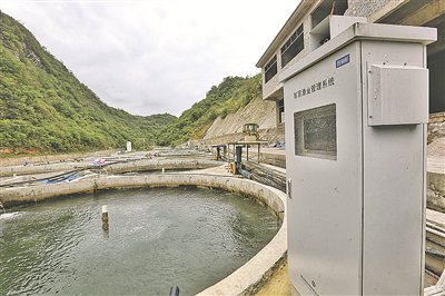 智慧农业_农业监控_数字养殖