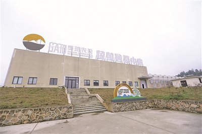 智慧农业_数字养殖_农业监控