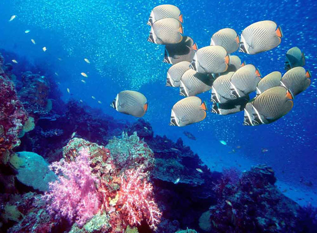 地球仪使用方法_地图投影变形_等角投影