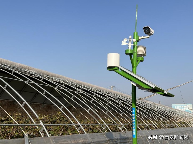 农业监控_智慧蔬菜大棚_5G赋能智慧种植_数字乡村平台